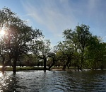 Количество природных пожаров в Астрахани снизится благодаря паводку