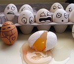 Астраханских продавцов заставили уничтожить некачественные яйца 