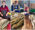 Полицейские изъяли у астраханских продавцов ﻿более 150 кг рыбы