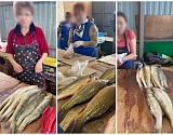 Полицейские изъяли у астраханских продавцов ﻿более 150 кг рыбы