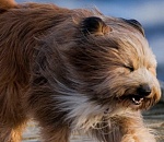 Спасатели выпустили штормовое предупреждении для астраханцев