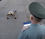 Минобороны предлагает всем желающим бронежилет за информацию о нарушениях