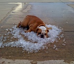 В Астрахани до конца мая жары не ожидается