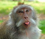 В Совете Федерации хотят обязать СМИ давать больше «позитивных новостей»