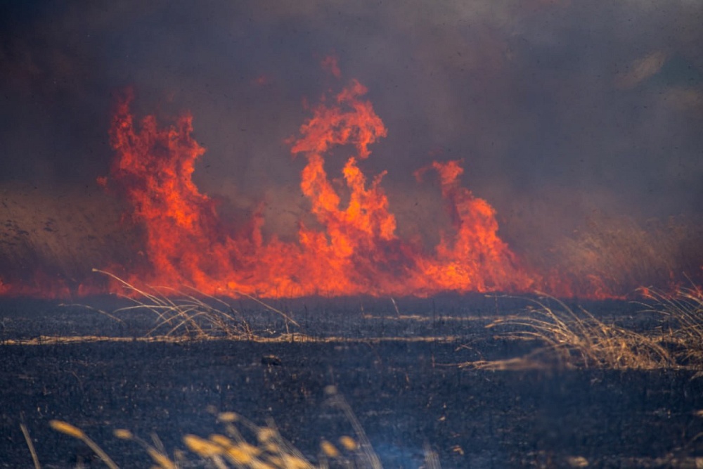 Жуткие кадры степного пожара снял астраханский фотограф
