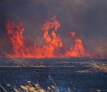 Жуткие кадры степного пожара снял астраханский фотограф