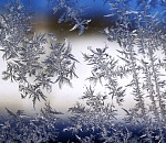 Какие сюрпризы приготовила для астраханцев погода в декабре