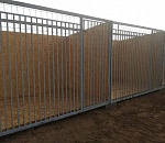 Александр Шарыкин: «Зарплата советника губернатора – это стоимость передержки двух собак в астраханском питомнике»