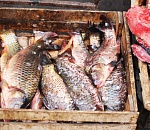 Продавцы на Больших Исадах заявили, что им неудобно работать по закону