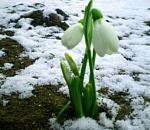 Астраханская погода в марте