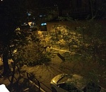 Астраханские спасатели мгновенно убрали упавшее дерево, и вот почему