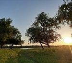 Какая погода ждёт астраханцев завтра