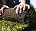 В центре Астрахани укладывают газон