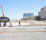 В Астрахани появится специальное место для прогулок с животными