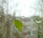 Во вторник синоптики обещают астраханцам дождь и сильный ветер