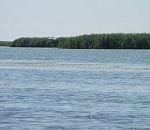 Сотрудники астраханского рыболовецкого предприятия украли рыбу из улова