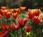 Снесет и смоет. Известен долгосрочный, но неприятный майский прогноз погоды в Астрахани 