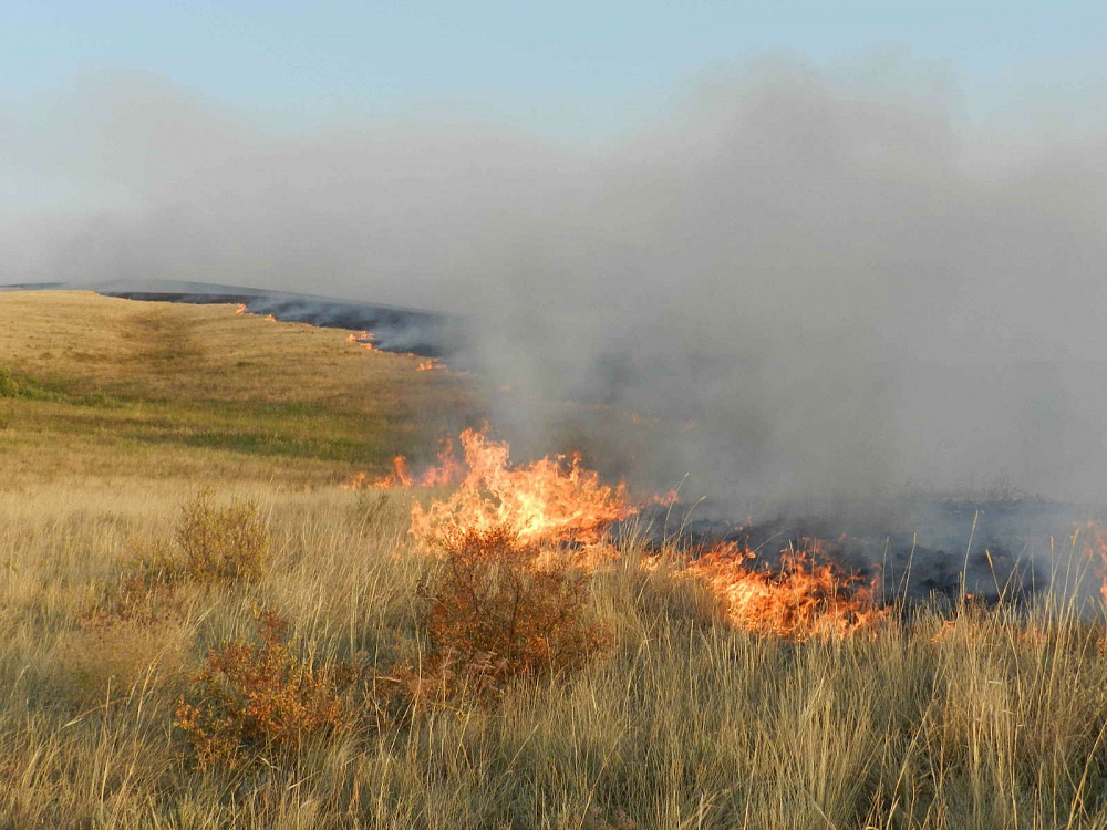 МЧС предупреждает о пожарной опасности в Астраханской области