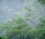 Астраханцам обещают резкое ухудшение погоды: ветер, грозу и даже град