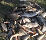 Астраханским рыбакам-любителям готовят квоту в 10 кило