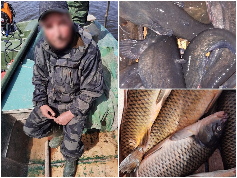 Под Астраханью промрыбаки украли 91 кг рыбы из улова предприятия