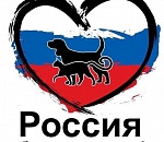 В Астрахани пройдет митинг против хабаровских живодерок