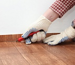 Проверка выяснила, что травило учеников школы в Астрахани