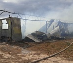 В Ахтубинском районе мощно полыхало