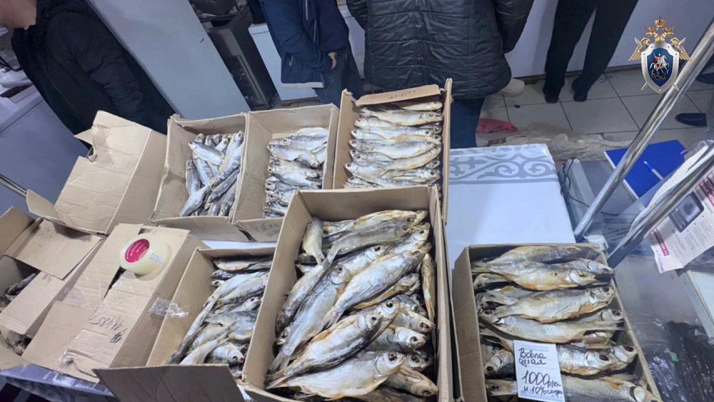Почти полтонны нелегальной рыбы нашли на Татар-базаре в Астрахани