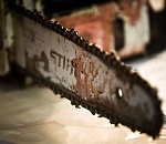 Астраханец выбросил в Кутум бензопилу