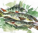 ЛУКОЙЛ вновь приглашает школьников принять участие в конкурсе «ЧИСТЫЙ ВЗГЛЯД»