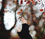 Какая погода ждет астраханцев на выходные