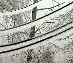 Потепление придет в Астрахань только в конце недели