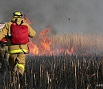  Гринпис организует противопожарную экспедицию в Астраханскую область 