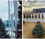 Из Астрахани вместо Волгограда могут пустить самолет в Калининград