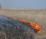 В Астраханской области МЧС объявило штормовое предупреждение: велика вероятность природных пожаров