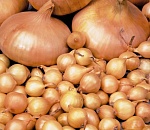 В Астраханской области реализовано около семи тысяч тонн лука