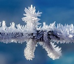 Ночью в Астрахани ожидается мороз и небольшой снег