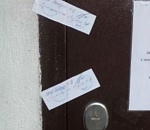 В Астрахани из-за кошки закрылась хлебопекарня