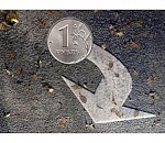 В администрации президента РФ признали невозможность поддержки рубля