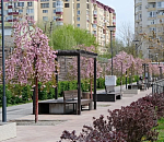 Завтра погода в Астрахани прибавит градус, но будет ветрено