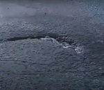 Астраханцы обнаружили нечто на дороге