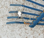 Астраханец сфотографировал страшного паука, которого от испуга сжег