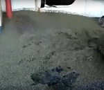 Осторожно, тошнотворные кадры. Под Астраханью судно атаковали стаи непонятных насекомых