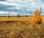 Ночью в Астраханской области температура понизится до +5°