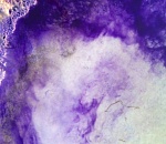 Вред озеру Баскунчак от «гламурной» фотосессии оценивают эксперты