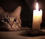 58 улиц Астрахани сегодня останутся без света