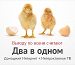 «Два в одном» для абонентов ТТК в Астрахани: интернет и телевидение за 400 рублей в месяц