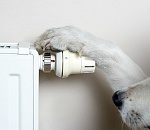 Авария на Бабаевского: у астраханцев отключили отопление