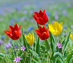 Астраханка подняла волну негатива из-за одной фотографии